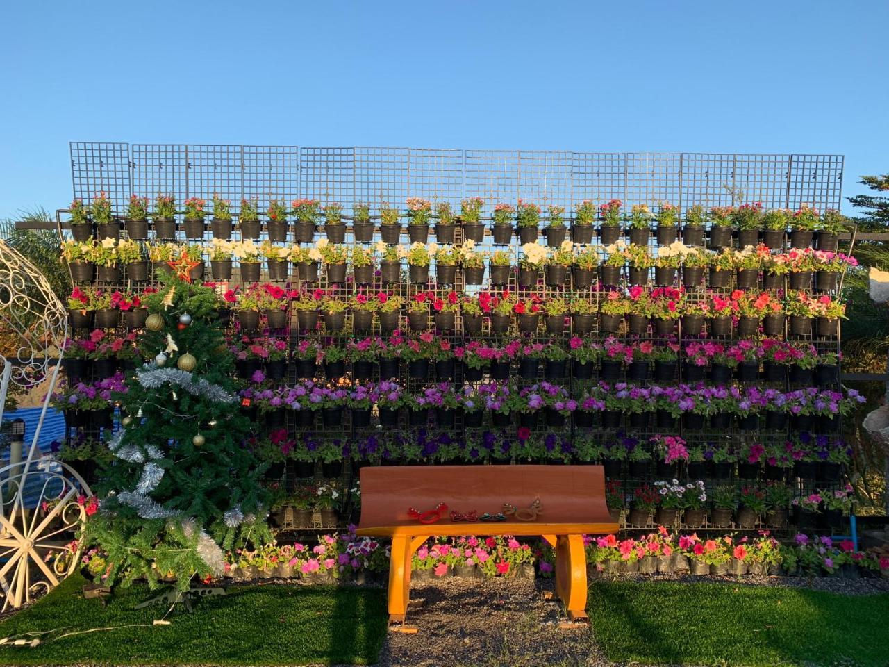 Отель Floral Hill Khaokho Кхао-Кхо Экстерьер фото